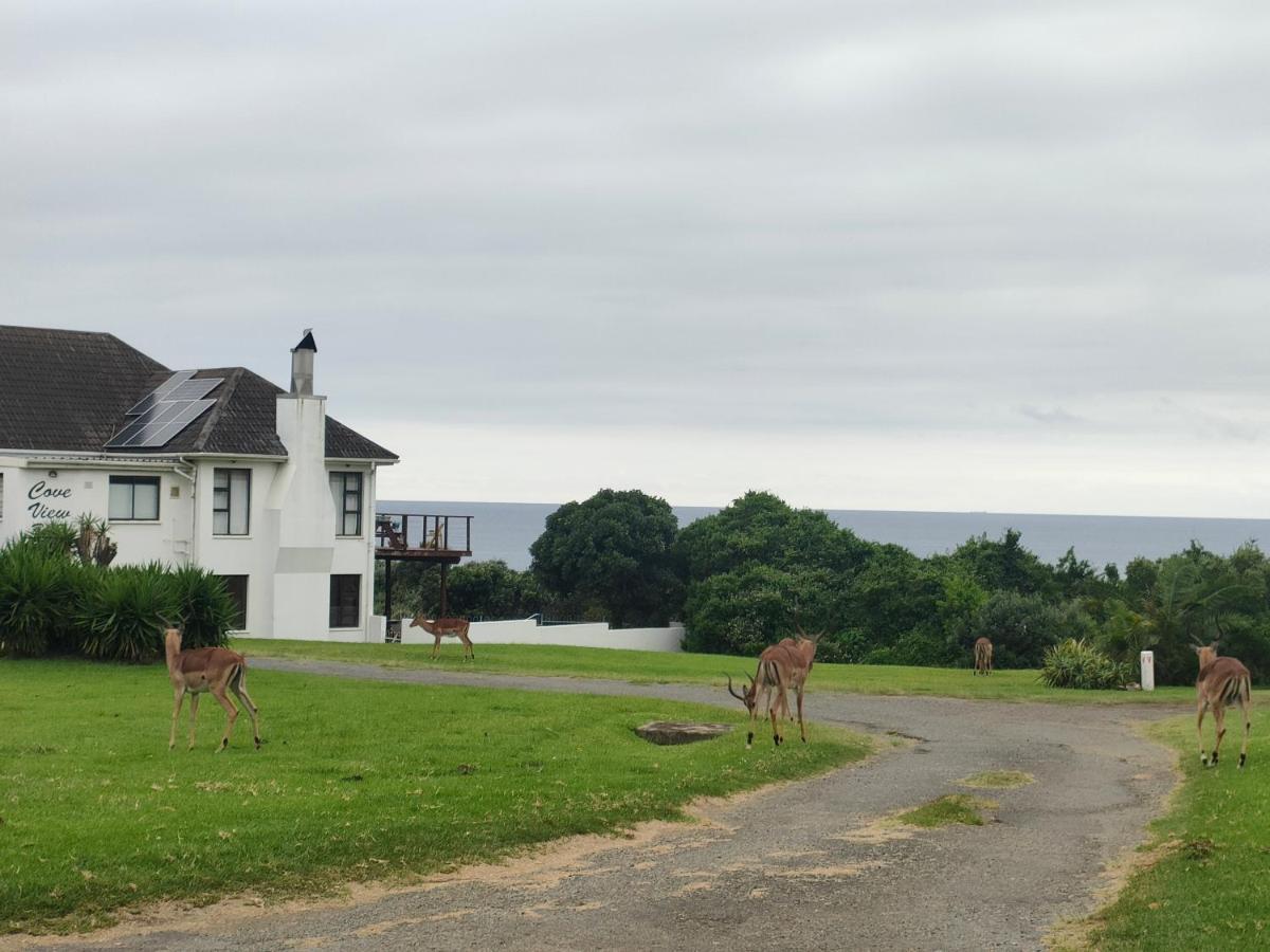 Cove View B&B 东伦敦 外观 照片