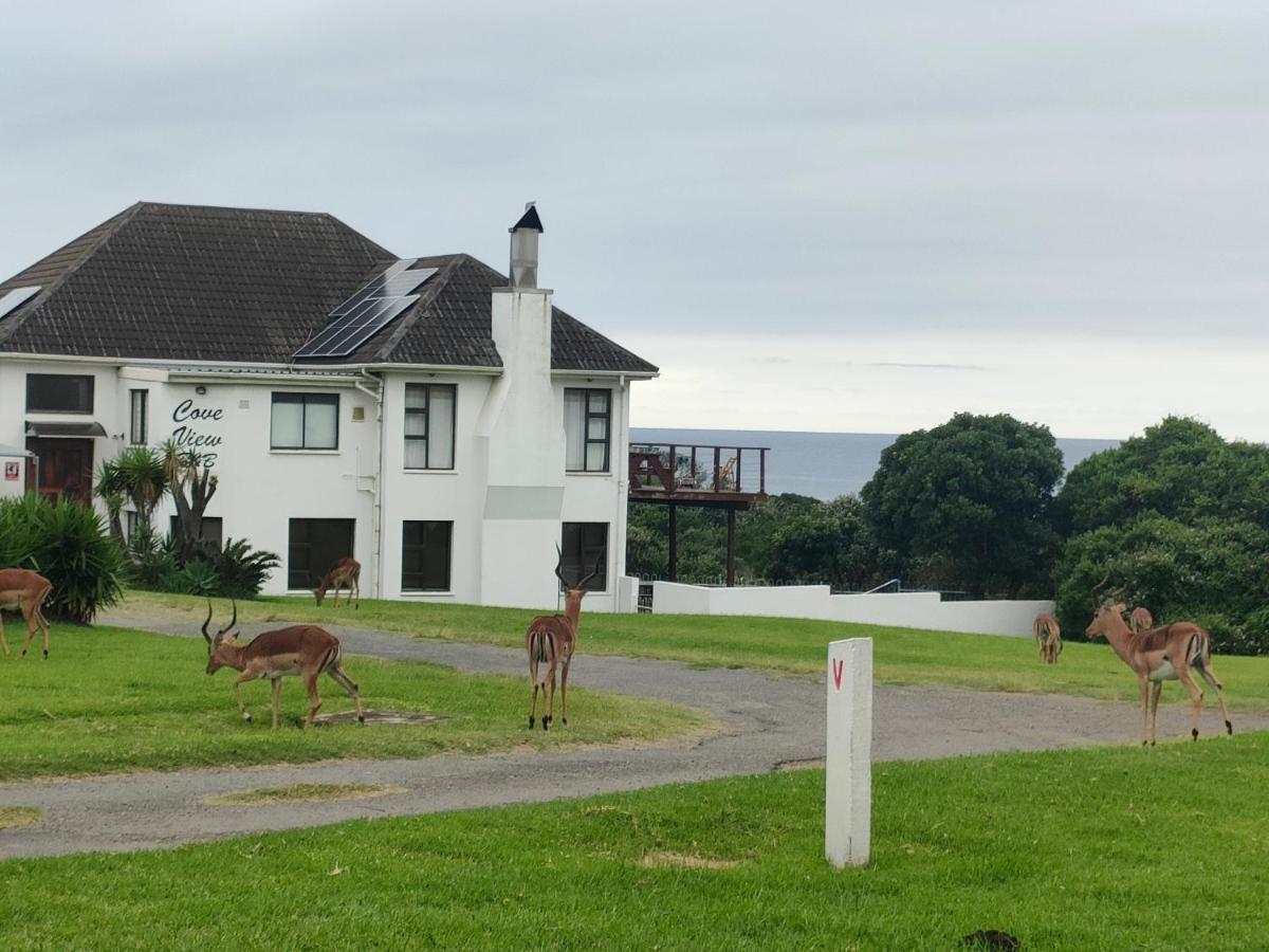 Cove View B&B 东伦敦 外观 照片