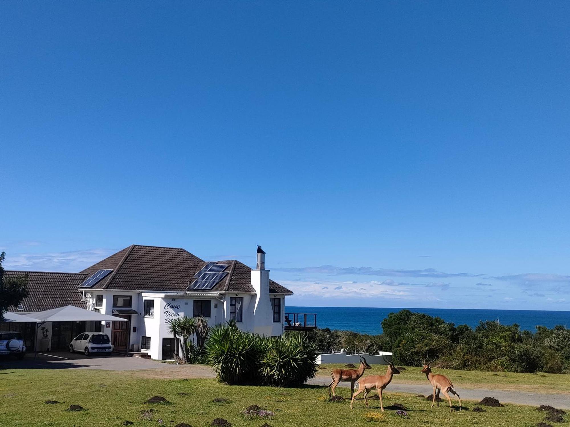 Cove View B&B 东伦敦 外观 照片
